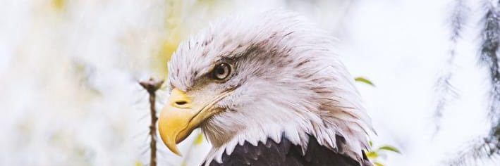 One Thousand Solutions banner