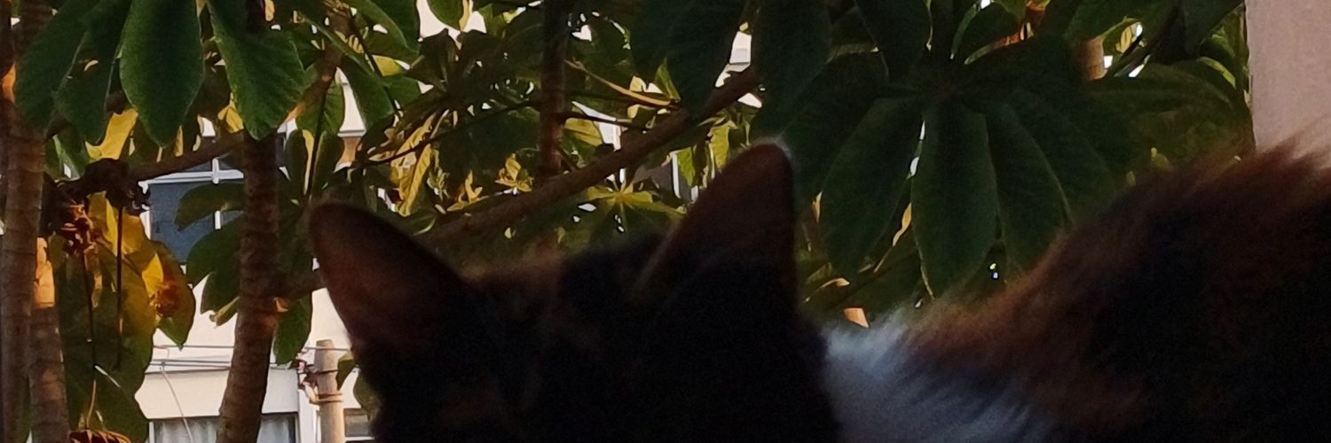 choc0noiva's profile banner image