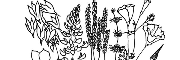 GOATech_org Profile Banner