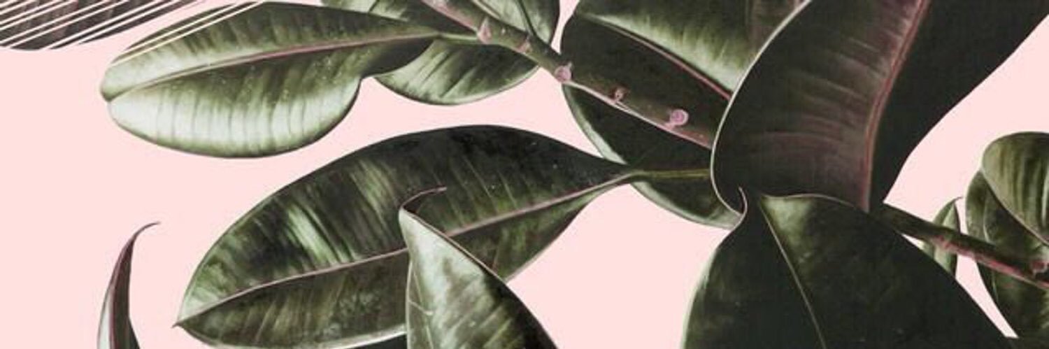 _fd_wa's profile banner image