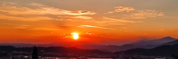 e_verdolini Profile Banner