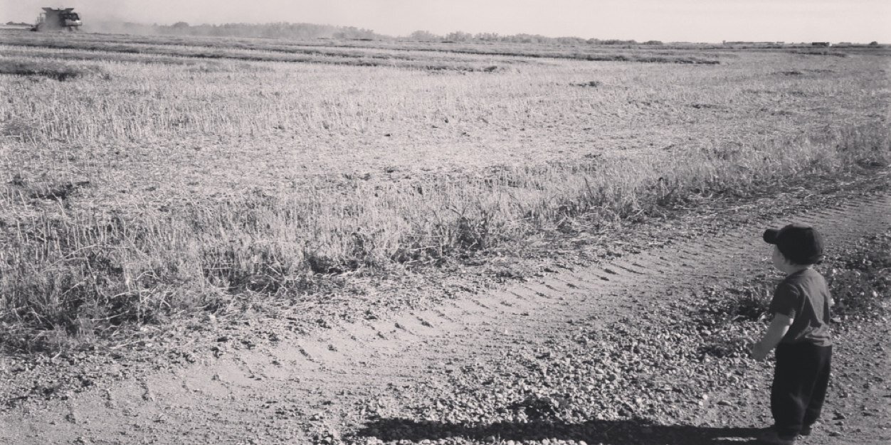 SFahlman's profile banner image