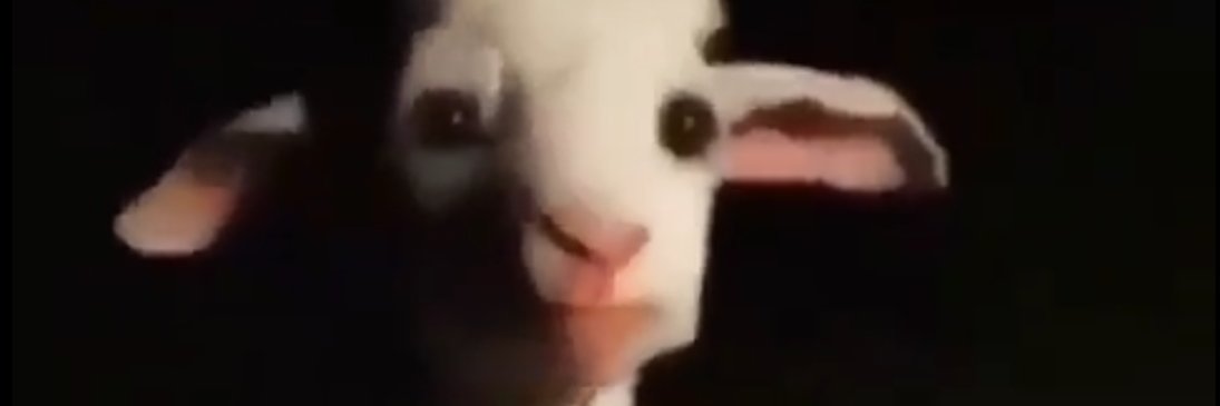 dedkanra's profile banner image