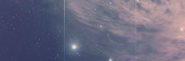_pinkssi Profile Banner