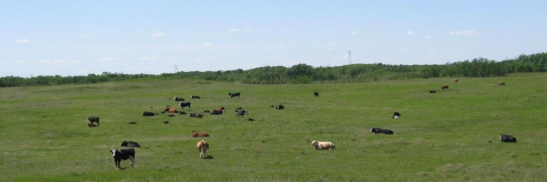 albertdairy's profile banner image