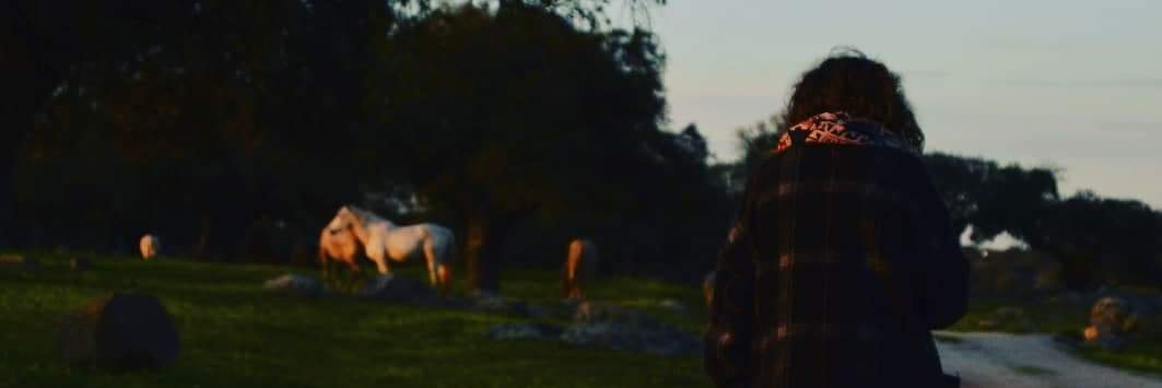 VeronicaSolanaS's profile banner image