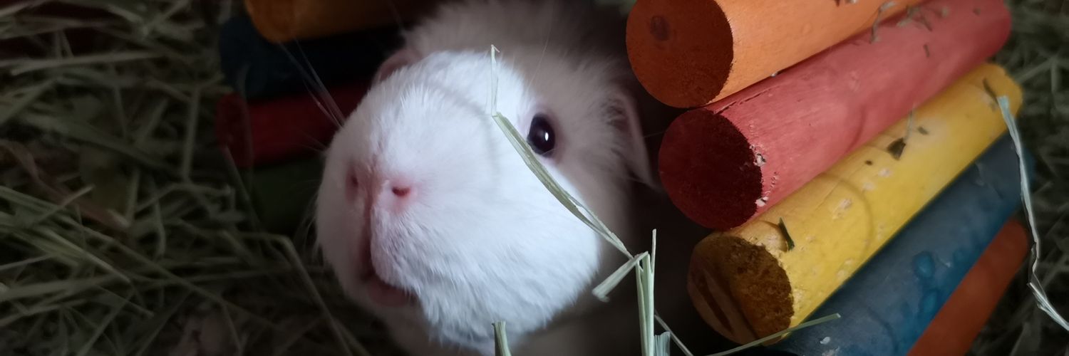 solssmith's profile banner image