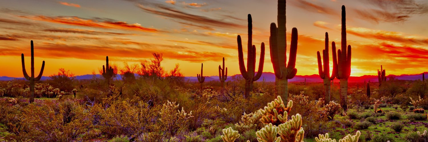 Desert Southwest banner