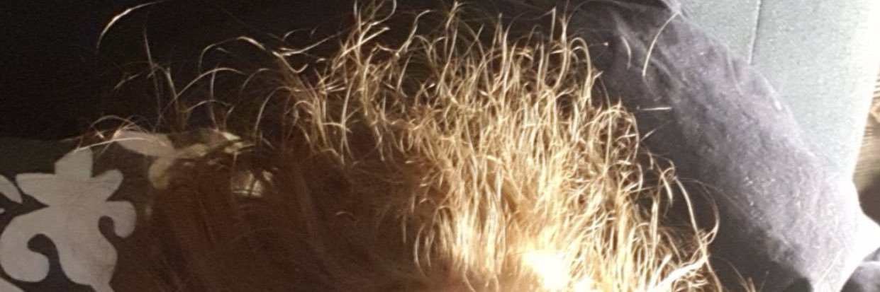 lidigan's profile banner image