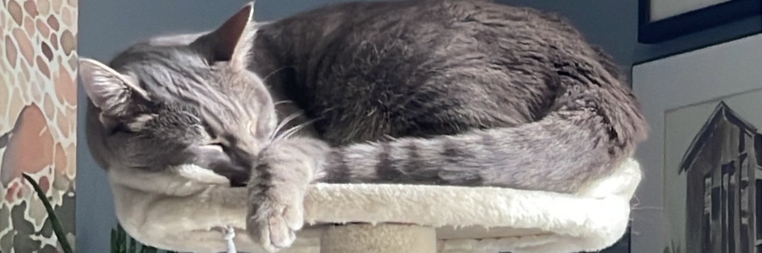 🐾Mark🐾 banner