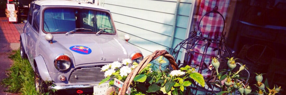 coconatu_jin74's profile banner image