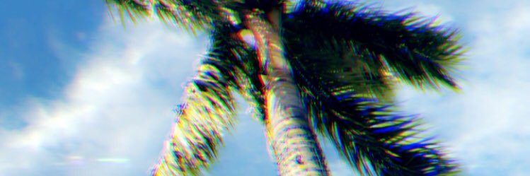 taryn_35's profile banner image