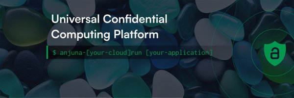 anjuna_security Profile Banner