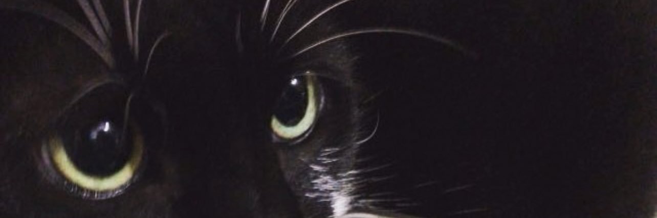 FabiolaCauduro's profile banner image
