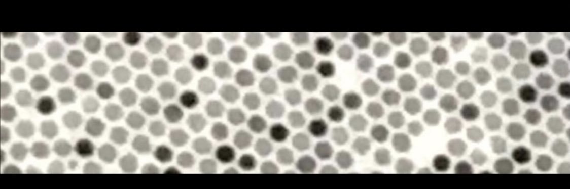 Jette Katja Mathiesen banner