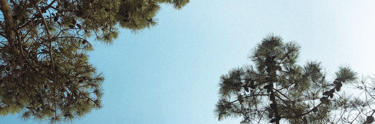 paulaaven's profile banner image