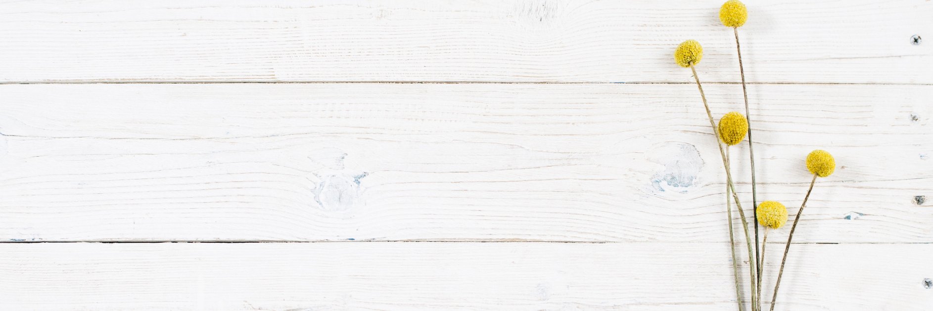 samboyca's profile banner image
