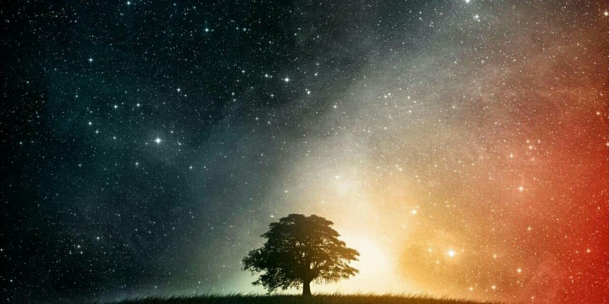 herlinajafar's profile banner image