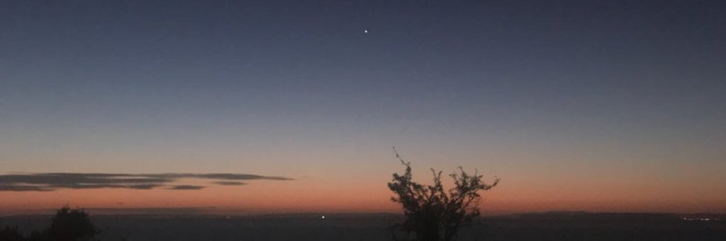 Shoko Doherty banner