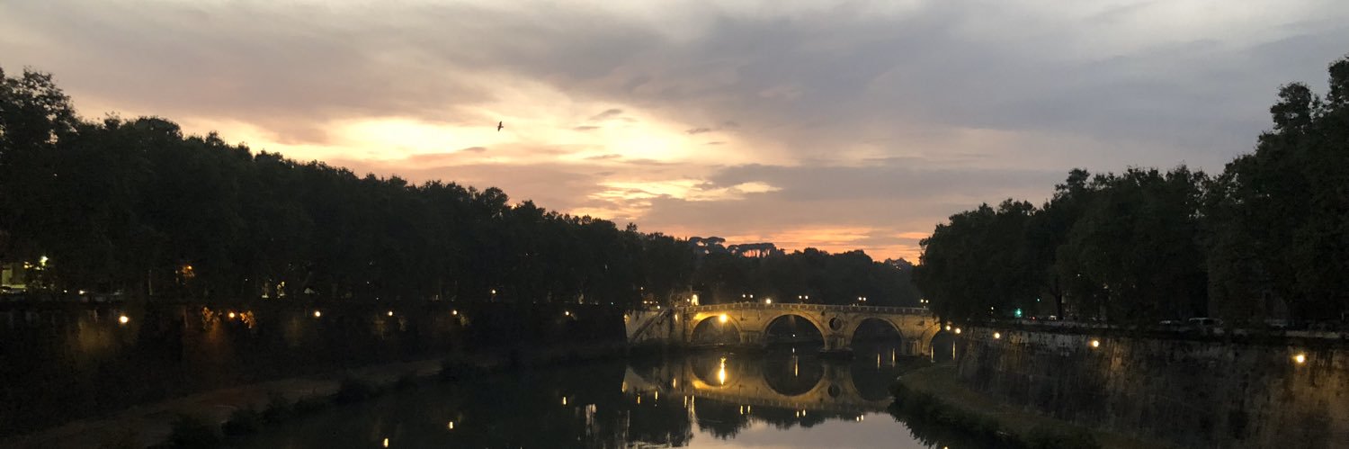 pilirusconi's profile banner image