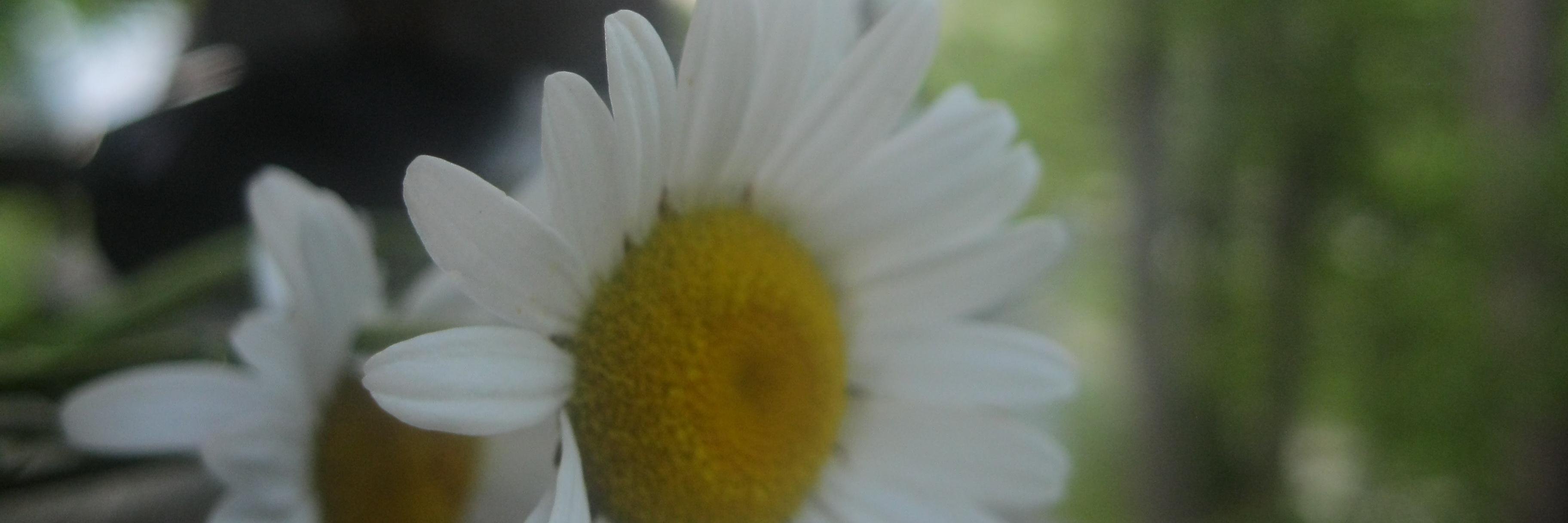 HailStorm143's profile banner image