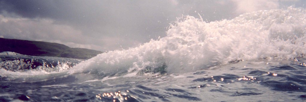 futureofourseas banner