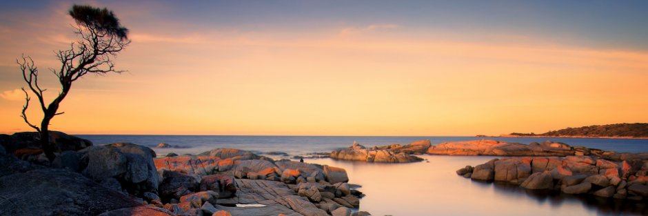 Business Tasmania banner