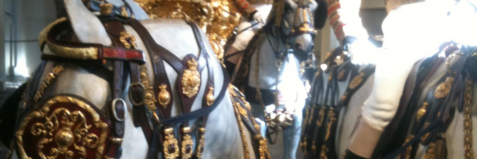 marcfourny's profile banner image