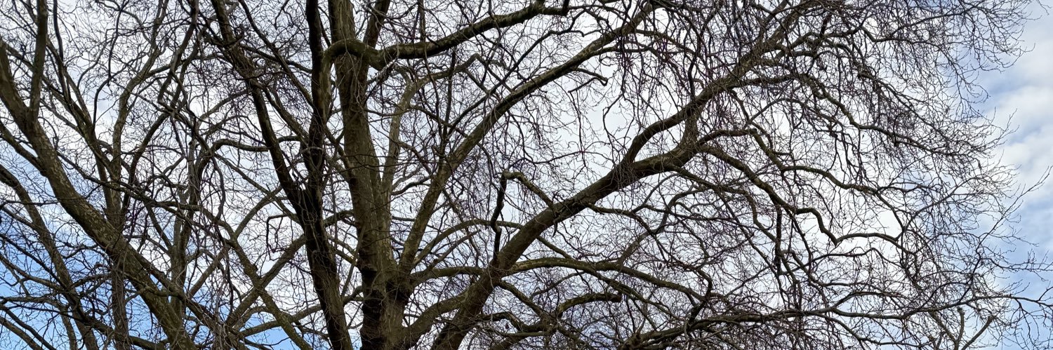 ntandoyenkosi banner