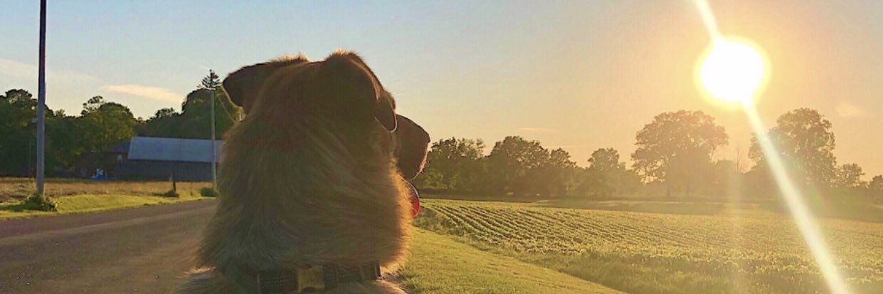 breannvoth's profile banner image