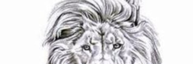 LakindraM's profile banner image