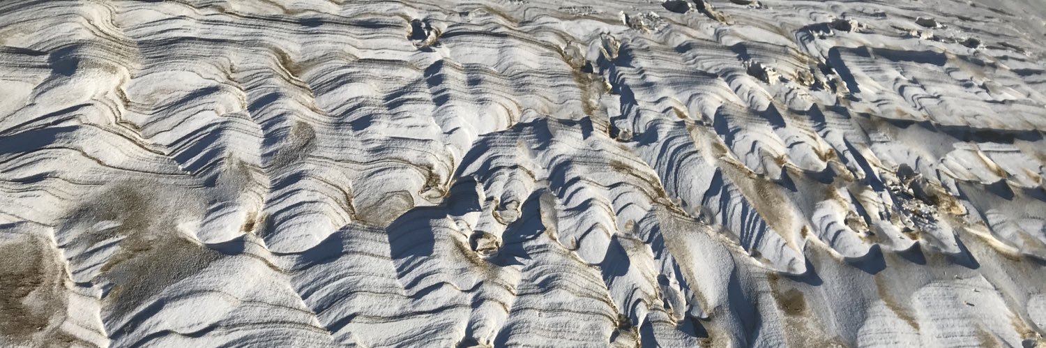 Florence Butlen-Ducuing banner