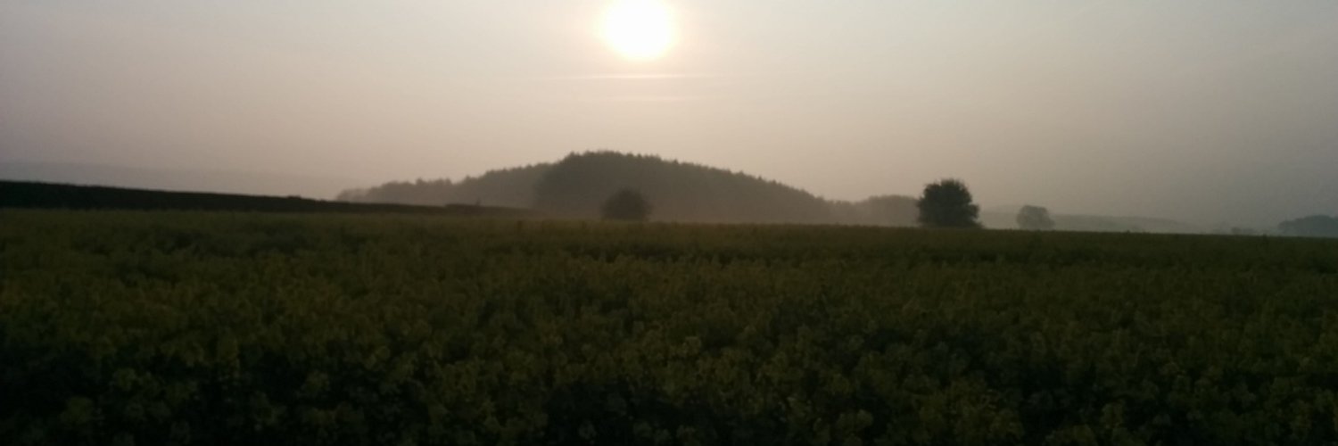 paul_strode's profile banner image