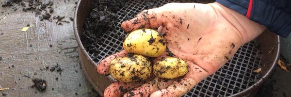 Transitionworc Profile Banner