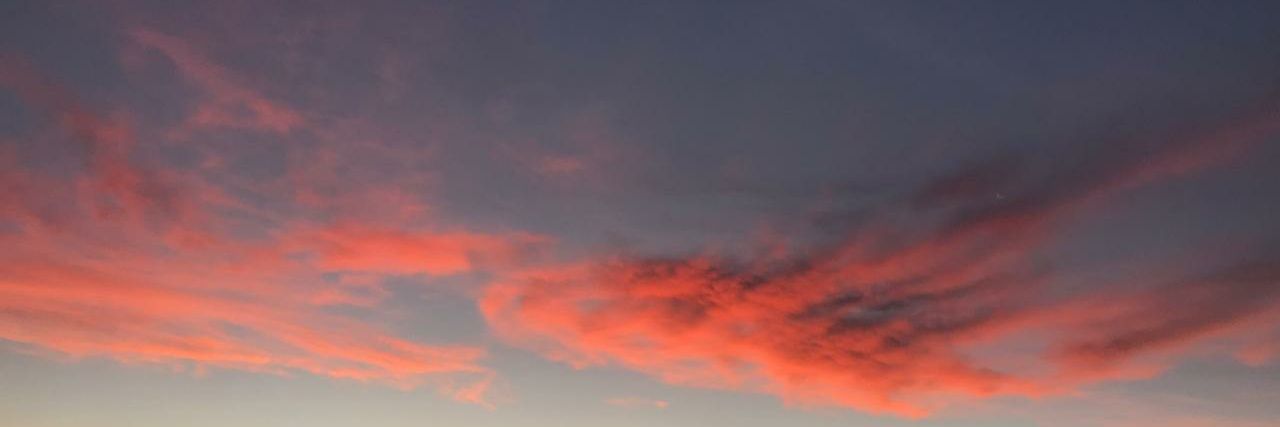 VidelaAri's profile banner image