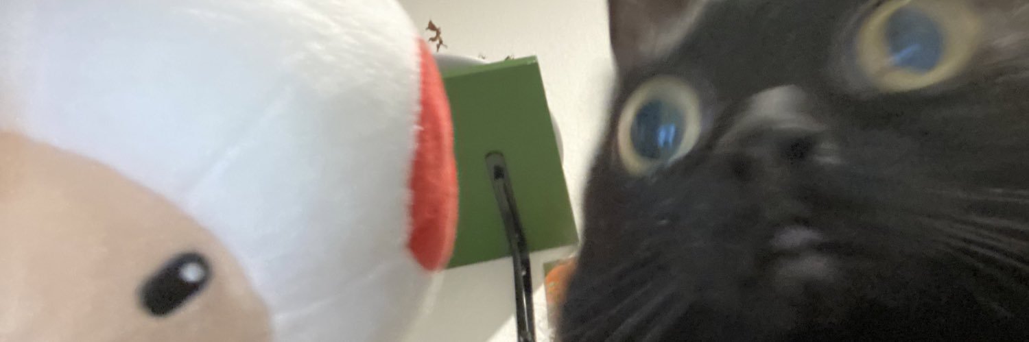 callawebster's profile banner image