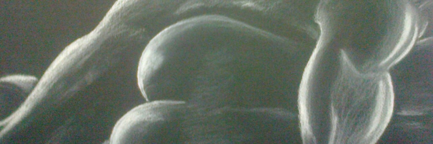 fenrir53's profile banner image