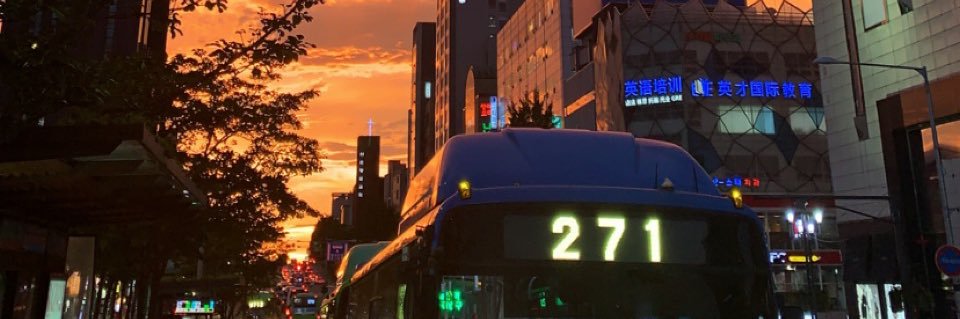 trblny's profile banner image