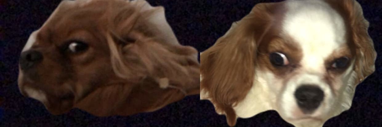 AlnaCarrillo's profile banner image