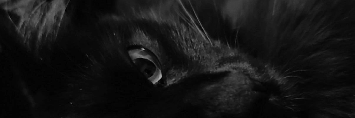 DeboraF90667584's profile banner image