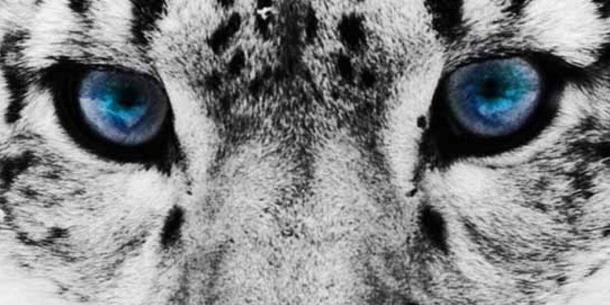 YagoRodriguezT's profile banner image