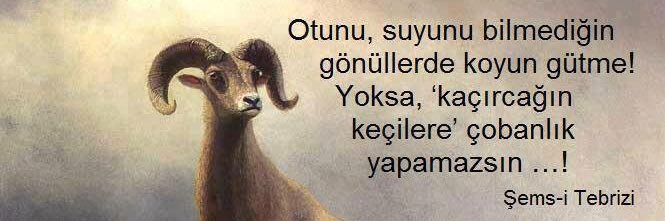 galaksiadres's profile banner image