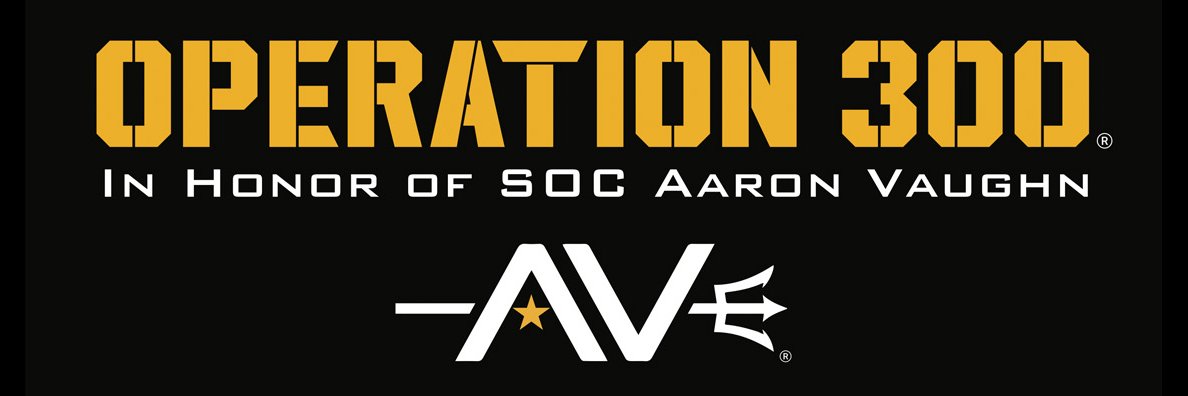 Operation 300 banner