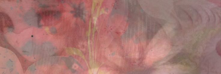 pjmsdarling's profile banner image