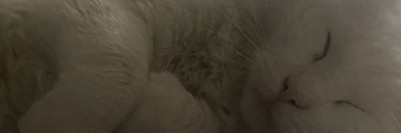BigPapiNick18's profile banner image