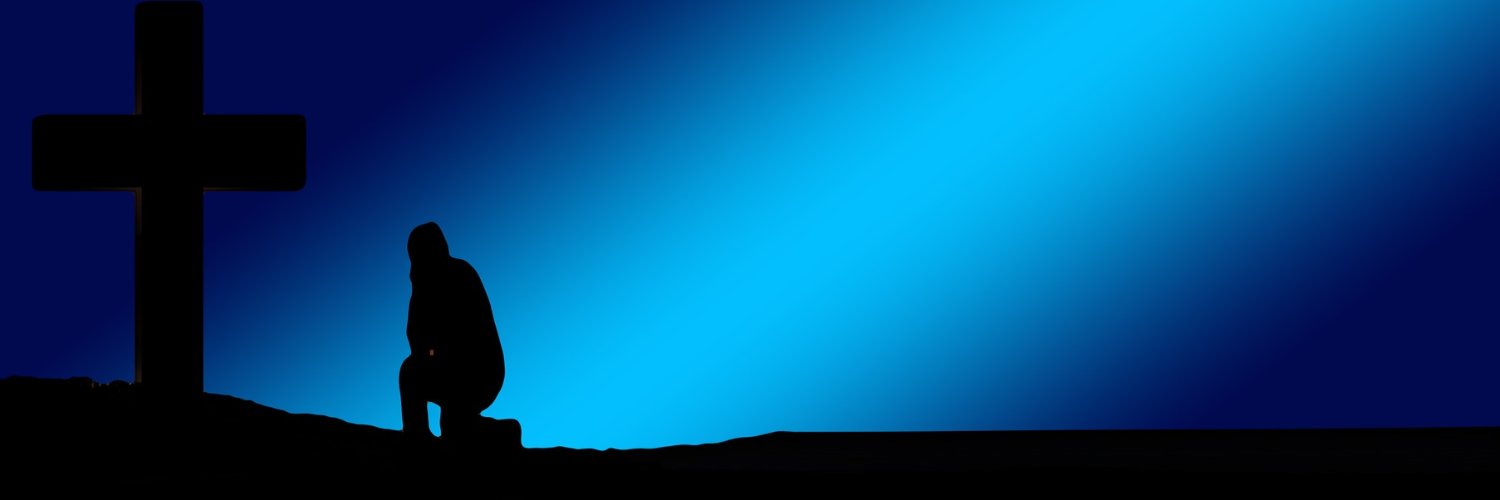 nidaimen's profile banner image