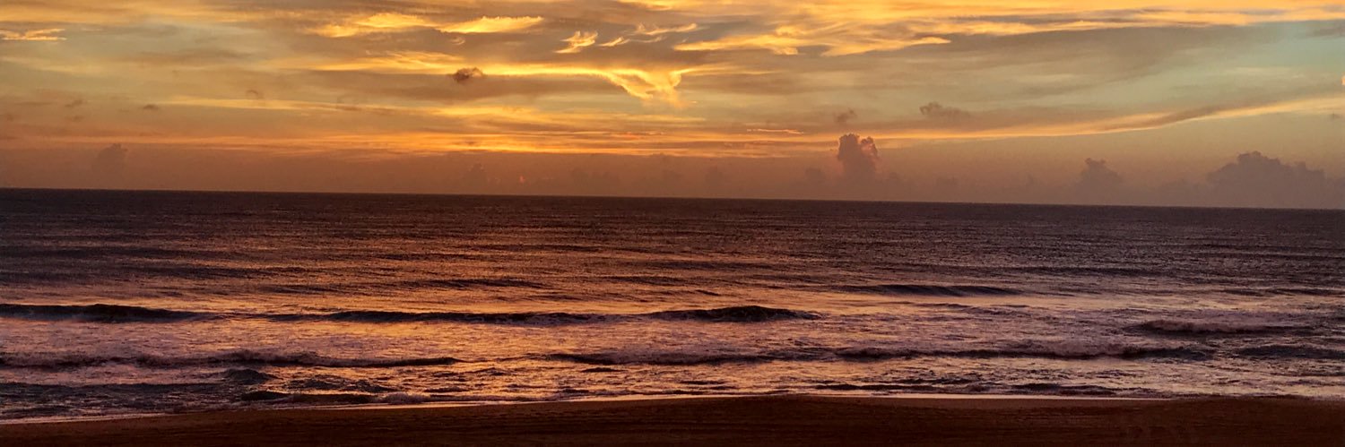 Lisa Fellinger banner