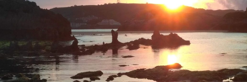 🅸︎🆄︎🆁︎🅴︎ banner