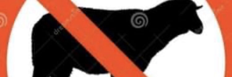 Waltergum's profile banner image