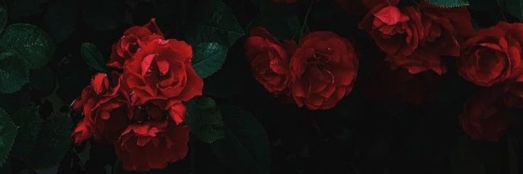 Braanday_'s profile banner image
